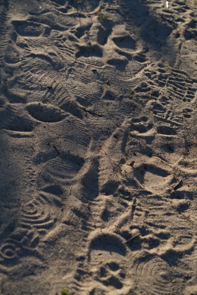 Pointe de Kermorvan, North tip of Finistère, GR34, footprints in the sand
