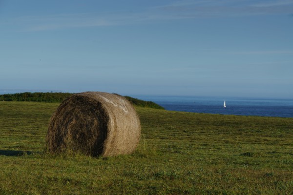 Pointe de Kermorvan, Finistère nord