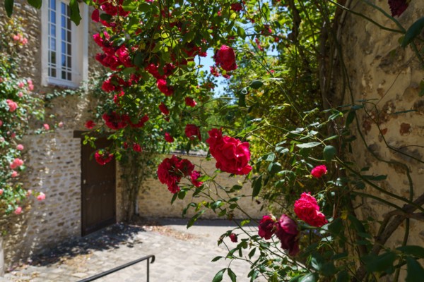 Montfort l'Amaury, Yvelines