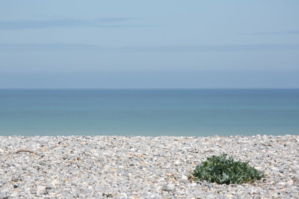 Quiberville-sur-Mer (Seine-Maritime)