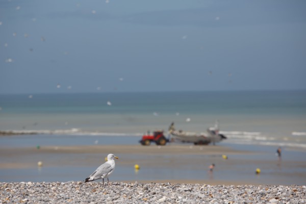Quiberville-sur-Mer (Seine-Maritime)