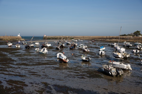 Barfleur (Manche)