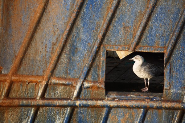 Barfleur (Manche department)