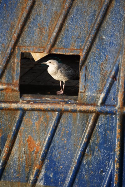 Barfleur (Manche department)