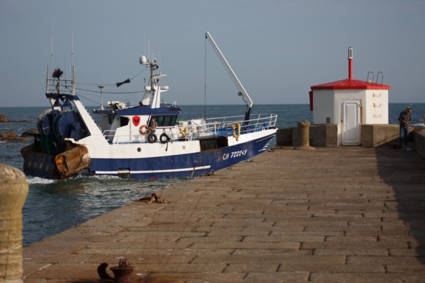 Barfleur (Manche department)