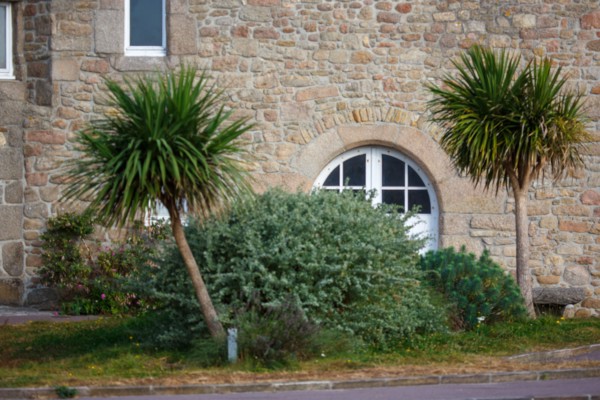 Barfleur (Manche department)
