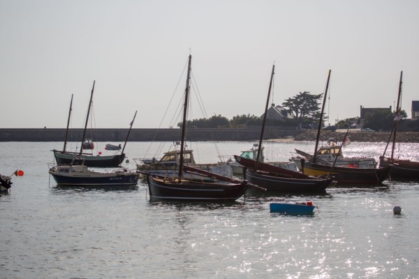Barfleur (Manche department)