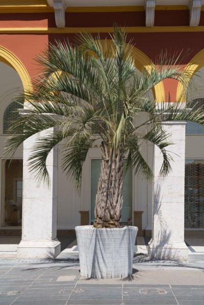 Nice (Alpes-Maritimes)