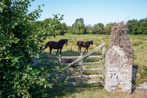 Saint-Germain-sur-Ay (Manche department)