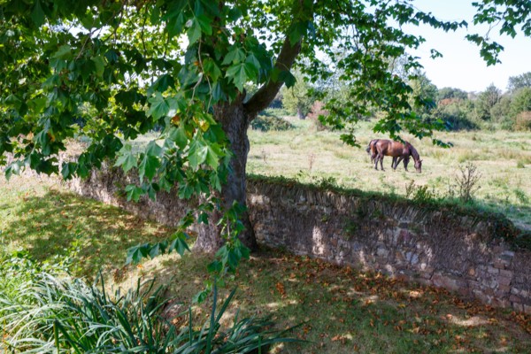 Saint-Germain-sur-Ay (Manche department)