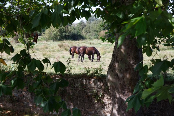 Saint-Germain-sur-Ay (Manche department)