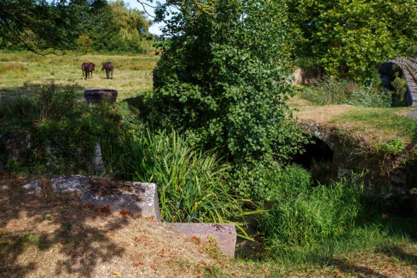 Saint-Germain-sur-Ay (Manche department)