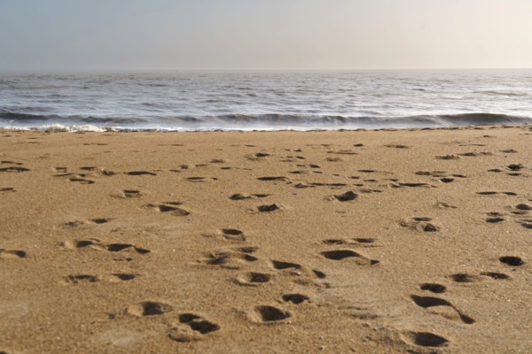 Plage de la Courance à Saint-Marc-sur-Mer, Loire-Atlantique