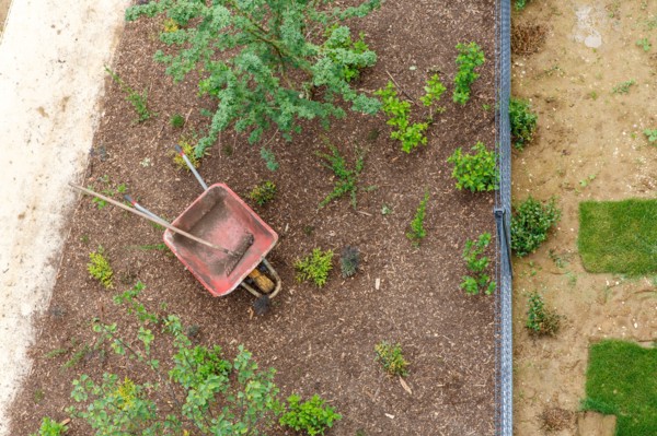 Montigny les Cormeilles, gardening, lawn