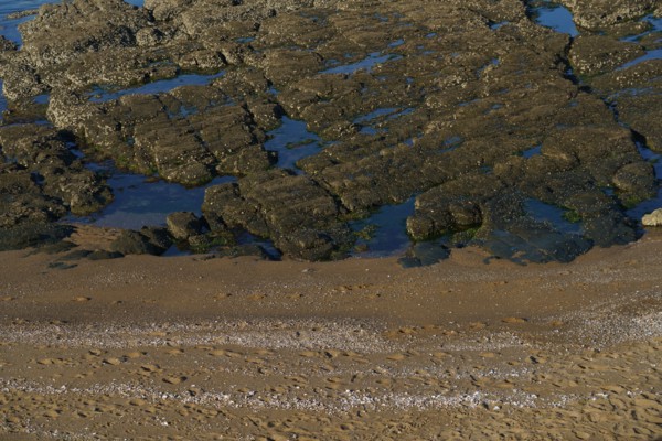 Pornic, Loire-Atlantique