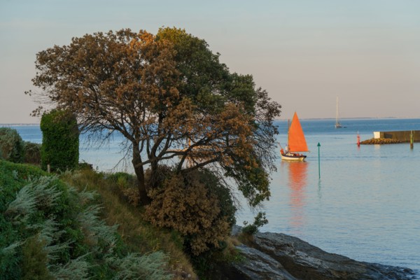 Pornic, Loire-Atlantique