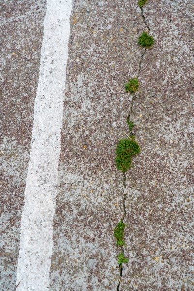 Cracked road and white stripe
