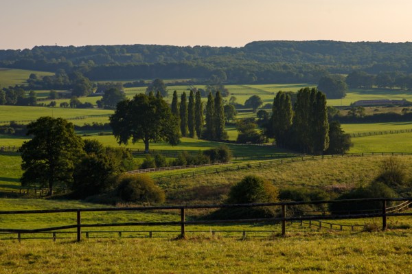Paysage de l'Orne