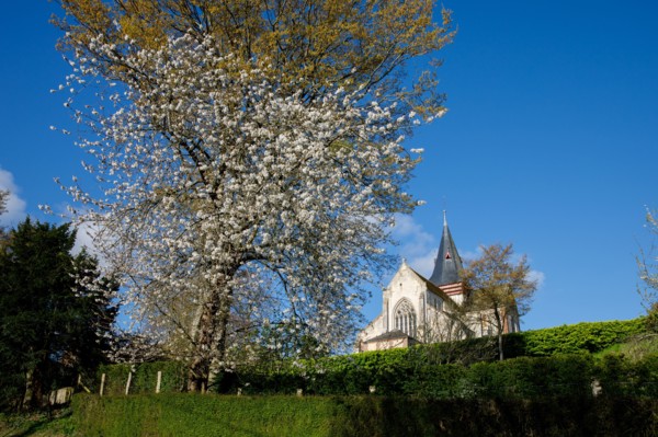 Beaumont-en-Auge, Calvados