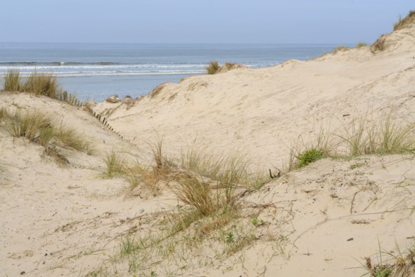 Camiers, Pas-de-Calais