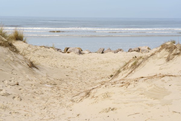 Camiers, Pas-de-Calais