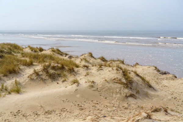 Camiers, Pas-de-Calais
