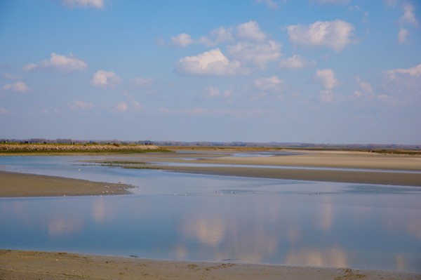 Le Crotoy, Somme