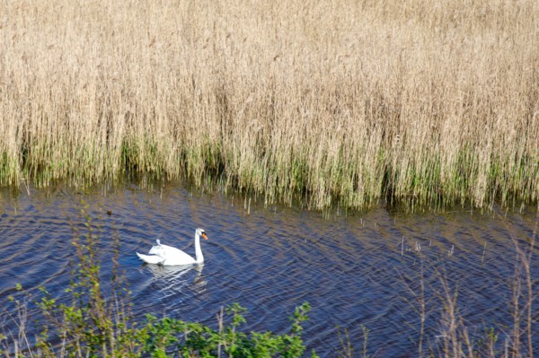 Saint-Valery-sur-Somme, Somme
