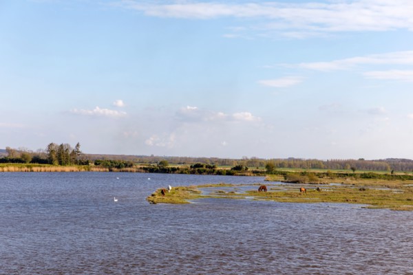 Saint-Valery-sur-Somme, Somme
