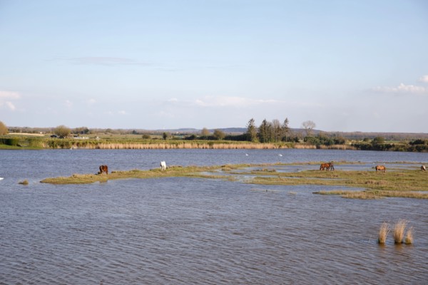 Saint-Valery-sur-Somme, Somme