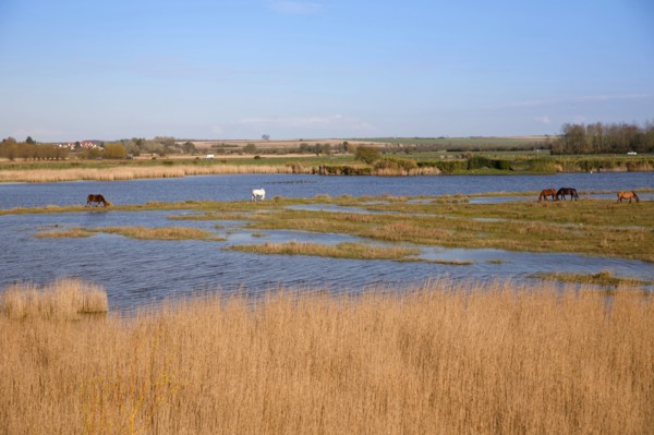 Saint-Valery-sur-Somme, Somme