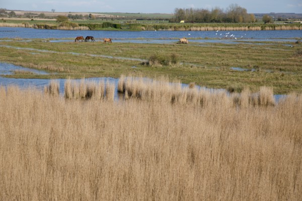 Saint-Valery-sur-Somme, Somme