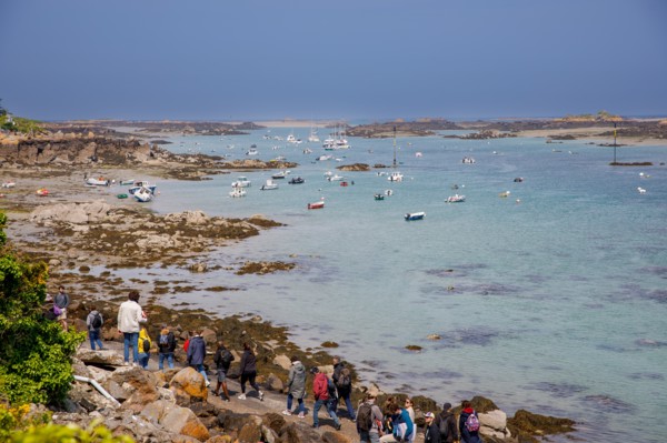 Iles Chausey, Manche