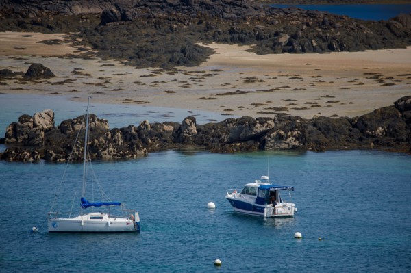 Iles Chausey, Manche