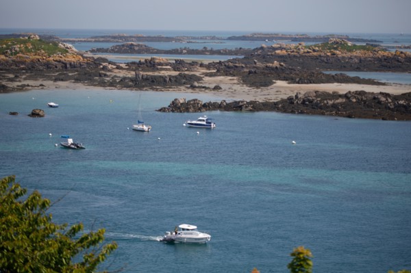 Iles Chausey, Manche