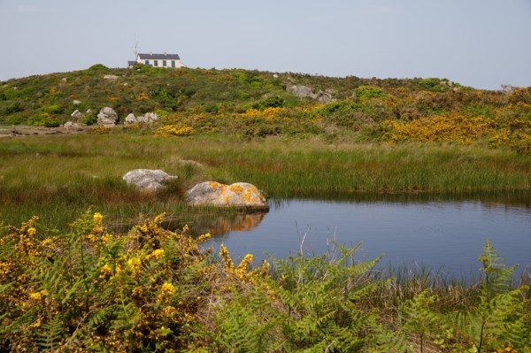Iles Chausey, Manche