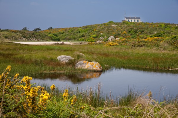 Iles Chausey, Manche