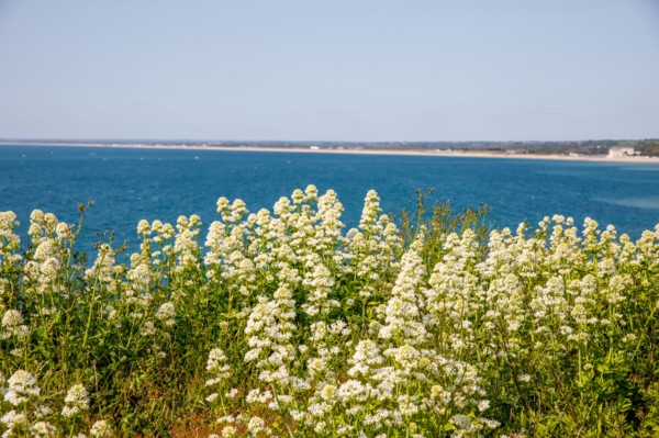 Granville, Manche