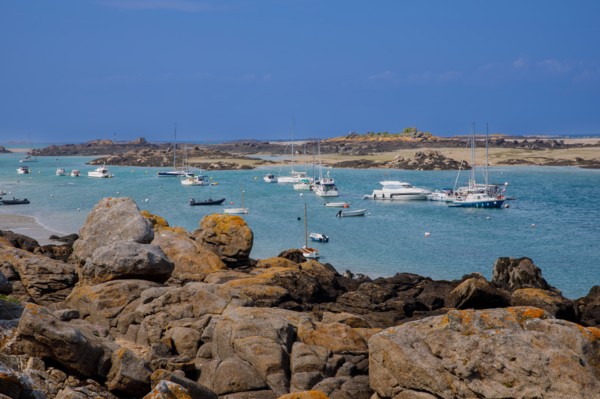 Iles Chausey, Manche
