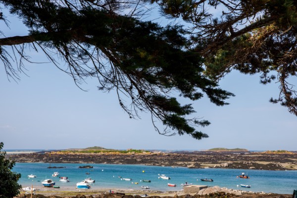 Iles Chausey, Manche