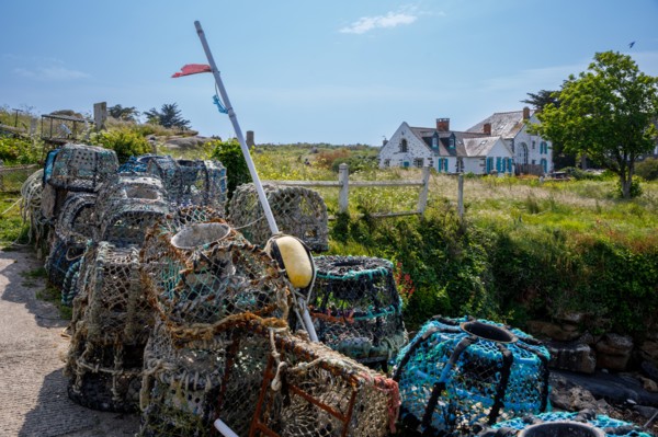 Iles Chausey, Manche