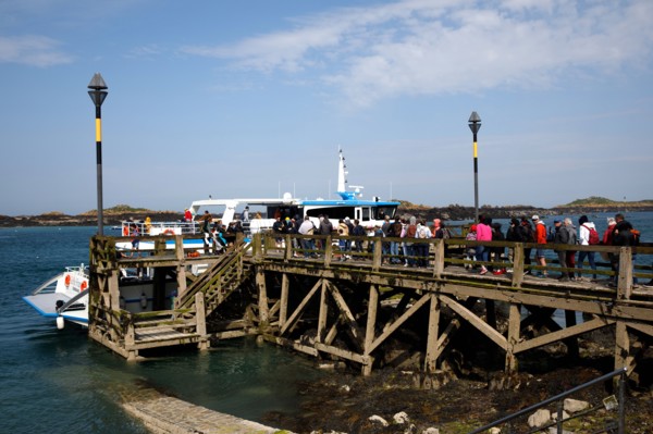 Chausey, Manche