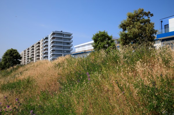 Calais, Pas de Calais