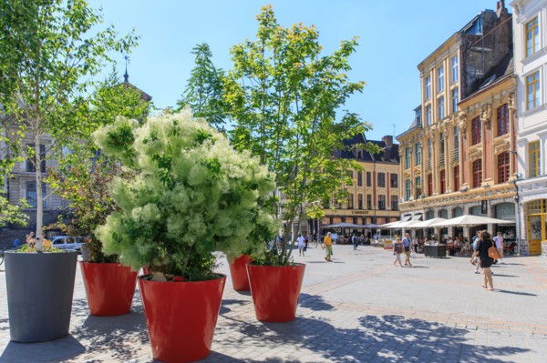 Lille, Nord