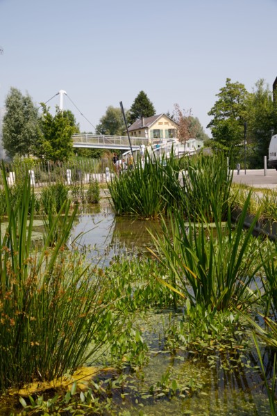 Amiens, Somme
