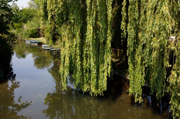 Amiens, Somme