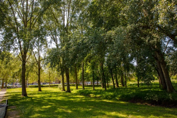 Amiens, Somme department