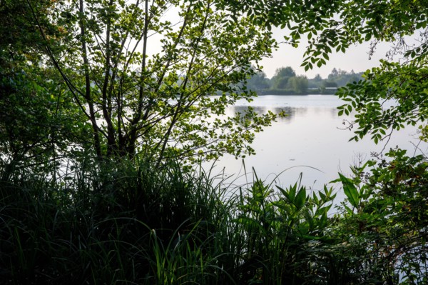 Amiens, Somme department