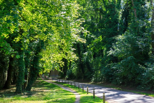 Arras, Pas-de-Calais