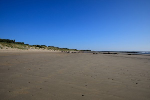 Réville, Manche